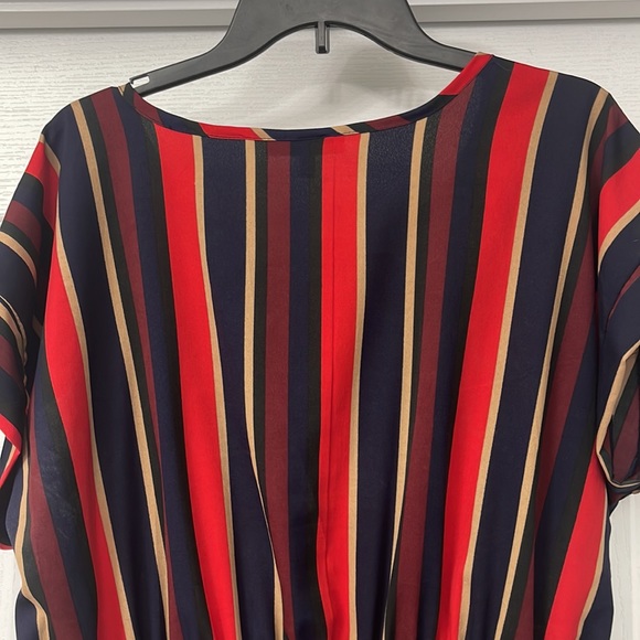 Speed Control, New York Dress. Size 1X. - Picture 3 of 3